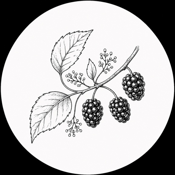quinniemulberry